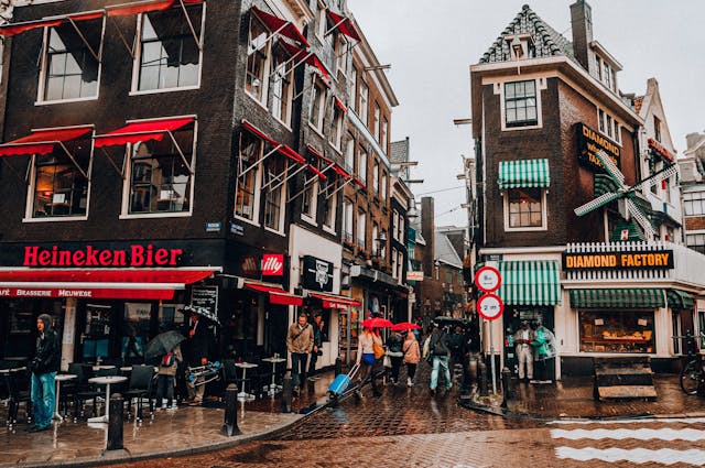 music licensing in the Netherlands for business